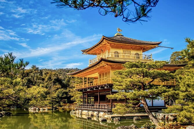 Kyoto&Nara Private Highlights Tour with English driver Pickup - Kyoto stop 5: Nishiki Market for snack-style sightseeing