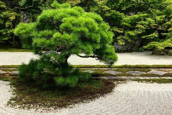 Kyoto&Nara Private Highlights Tour with English driver Pickup - Kyoto stop 6: Kiyomizu-dera Temple for views and the famous stage
