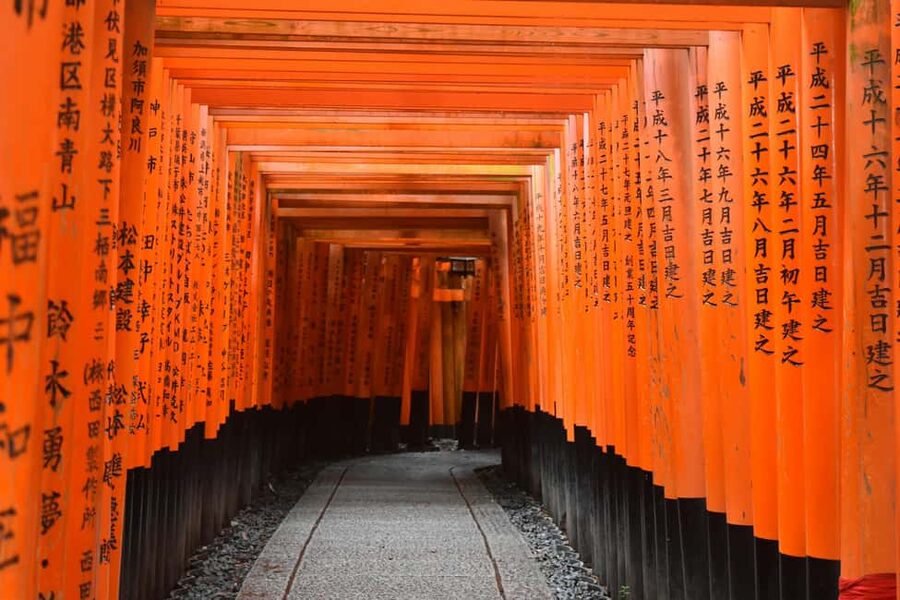Kyoto & Nara Private Luxury Car Tour: Encounter with Deer - The Day’s Rhythm: A Smart Order for Kyoto, Then Nara