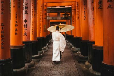 Kyoto & Nara Private Luxury Car Tour: Encounter with Deer