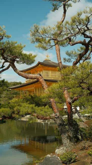 Kyoto & Nara Private Luxury Car Tour: Encounter with Deer - Sanjusangendo’s 1,001 Golden Guanyin Statues (If Time Allows)