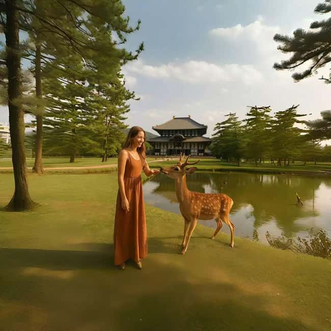 Kyoto & Nara Private Luxury Car Tour: Encounter with Deer - Todaiji Temple: The World’s Largest Wooden Building Feeling