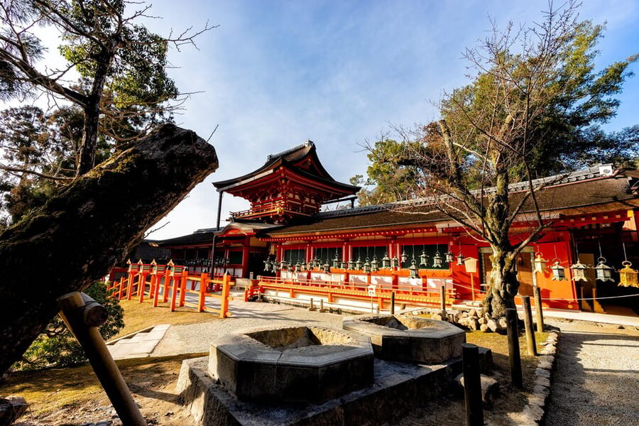 Kyoto: Nara, Todaiji, Kasuga Taisha Shrine Private Full Day - Nara Park deer: sacred messengers, photo stops, and open space