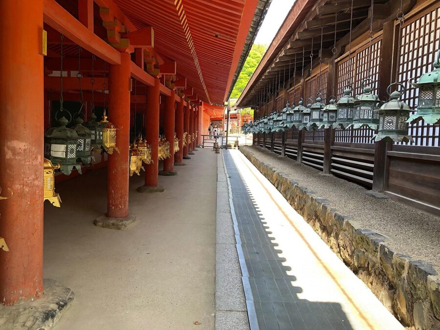 Kyoto: Nara, Todaiji, Kasuga Taisha Shrine Private Full Day - Todaiji and the Great Buddha: UNESCO scale in your guided hour