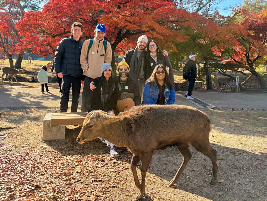 Kyoto: Nara & Traditional Matcha Experience Bus Tour - Why this Kyoto to Nara and Uji day feels like a best-of combo