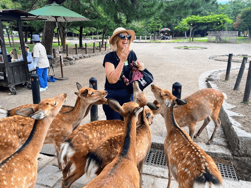 Kyoto: Nara & Traditional Matcha Experience Bus Tour - Coach comfort: Wi-Fi, ventilation, and a practical day setup
