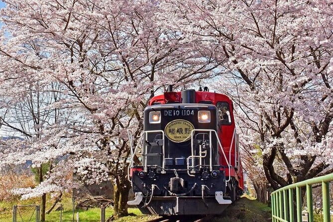 Kyoto & Nara & Uji: Full Day Sightseeing Tour from Osaka or Kyoto - Should You Book This Kyoto, Nara and Uji Full Day Tour?