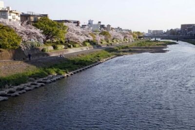 Kyoto Night Foodie Tour in Gion (9+ dishes + 6 Sake tastings)