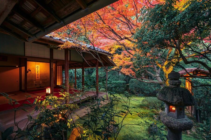 Kyoto: Nighttime Zen Meditation and Matcha Tea Experience - Key highlights you should care about