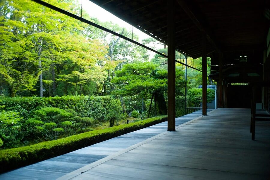 Kyoto: Nighttime Zen Meditation and Matcha Tea Experience - Practical tips so you stay comfortable and present