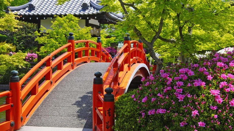 Kyoto: Nijo Castle World Heritage Guided Tour with Admission - Price and Value for Admission, a Guide, and a Small Group