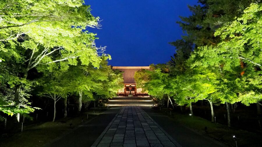 Kyoto: Ninnaji Temple Entry Ticket - What to Do With a One-Day Ticket: A Smart, Low-Stress Route