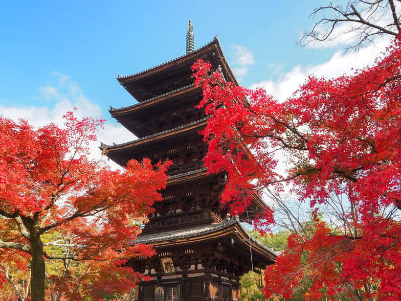 Kyoto: Ninnaji Temple Entry Ticket - Price and Value: Why This Ticket Is Such a Bargain