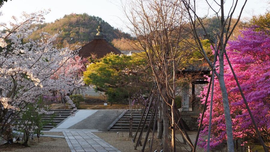 Kyoto: Ninnaji Temple Entry Ticket - Changing Seasons at Ninna-ji: What Each Time of Year Really Means