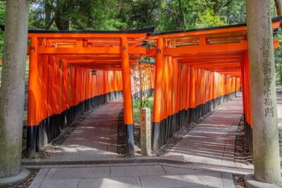 Kyoto One Day Sightseeing Tour from Osaka or Kyoto