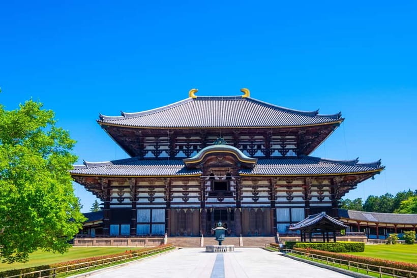 Kyoto/Osaka: Kinkakuji, Bamboo Forest, and Nara Deer Park - The value play: why this Kyoto and Nara highlights day makes sense