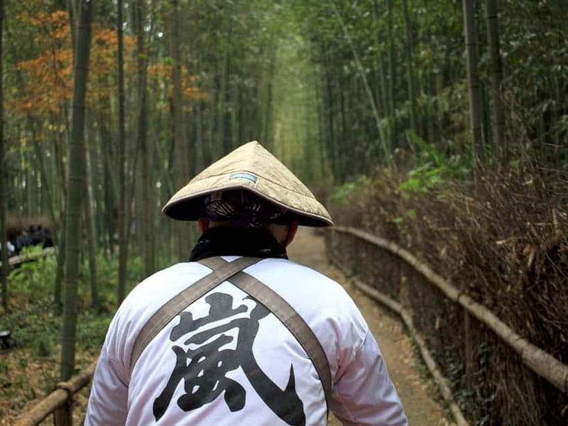 Kyoto/Osaka: Kinkakuji, Bamboo Forest, and Nara Deer Park - Lunch in Kyoto: traditional seasonal meal, diet limits, and what to watch for