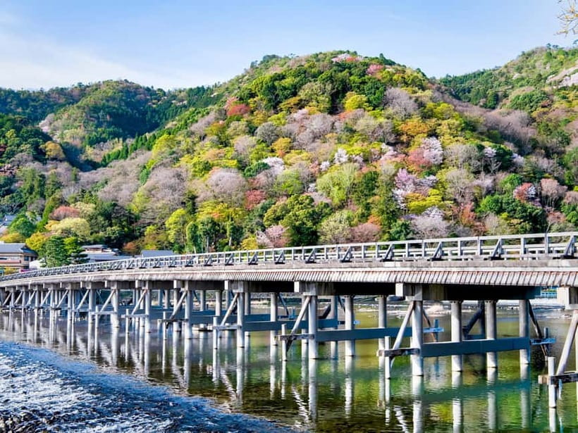 Kyoto/Osaka: Kinkakuji, Bamboo Forest, and Nara Deer Park - Guides and group flow: what the best hosts do for you