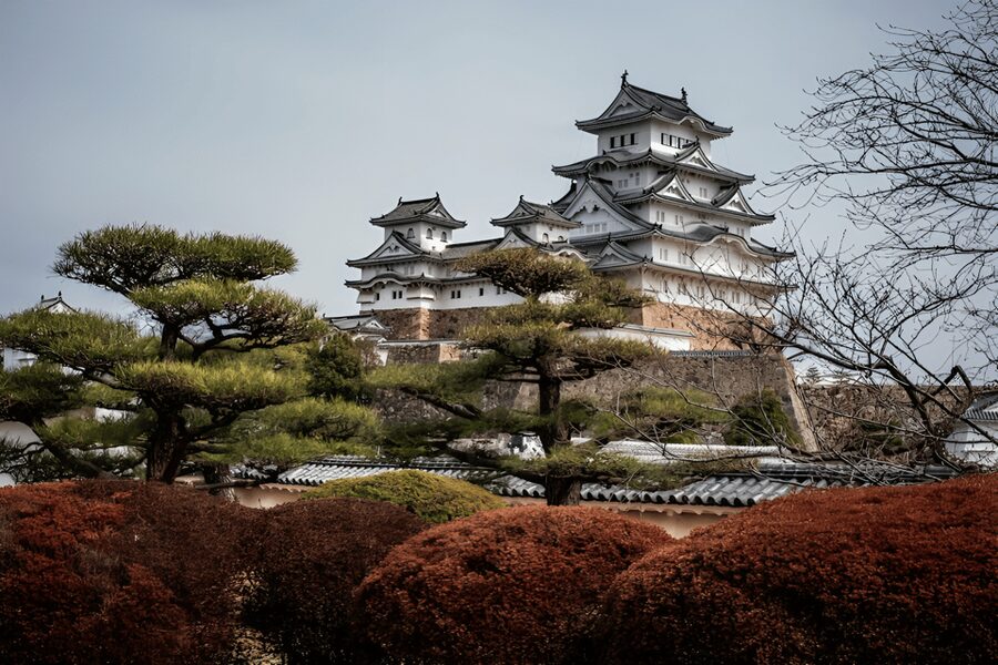 Kyoto/Osaka: Kobe & Himeji Journey Through Culture & History - Kobe beef: plan for lunch on your own terms