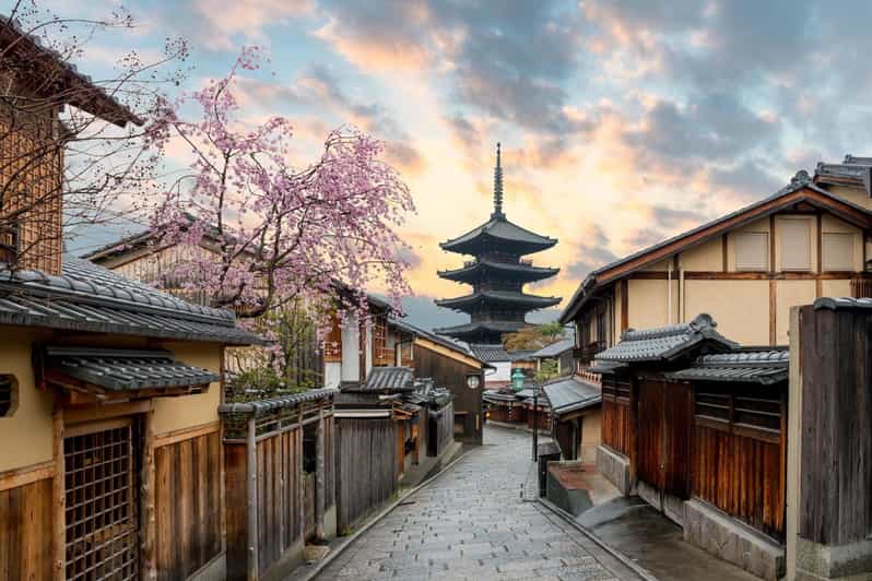 Kyoto/Osaka: Kyoto and Nara Customized Private Guided Tour - Arashiyama Bamboo Forest: seeing it before the crush