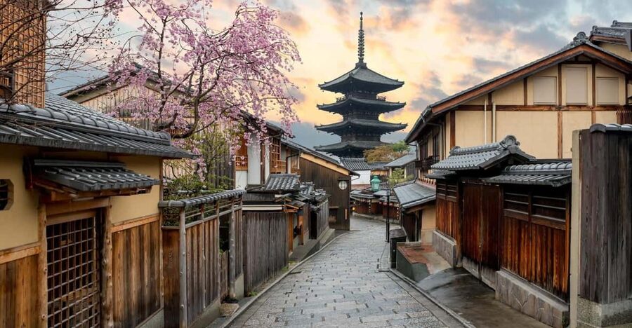 Kyoto/Osaka: Kyoto and Nara Customized Private Guided Tour - Fushimi Inari Taisha: torii gates plus a sanity-saving game plan