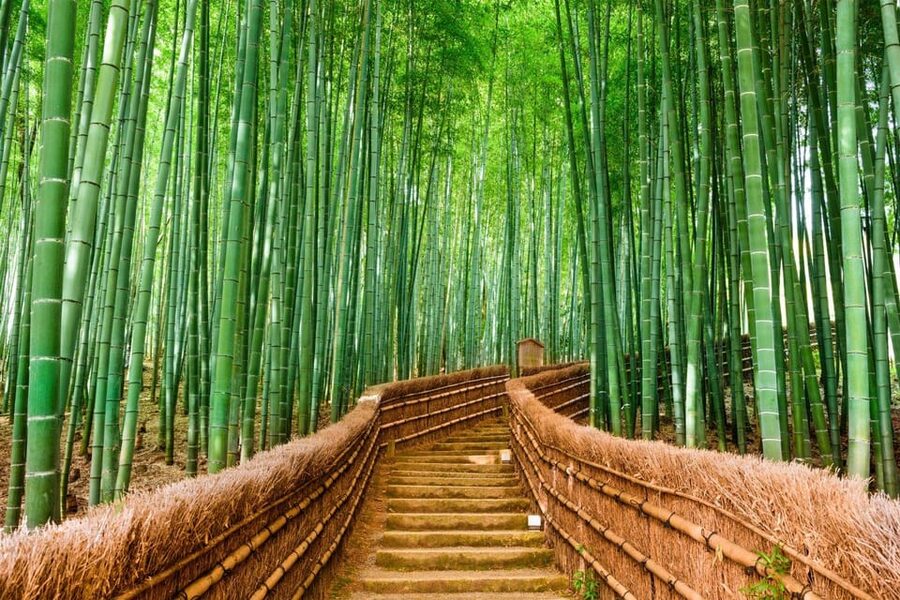 Kyoto/Osaka: Kyoto and Nara Customized Private Guided Tour - The drive to Nara: using the transit time well