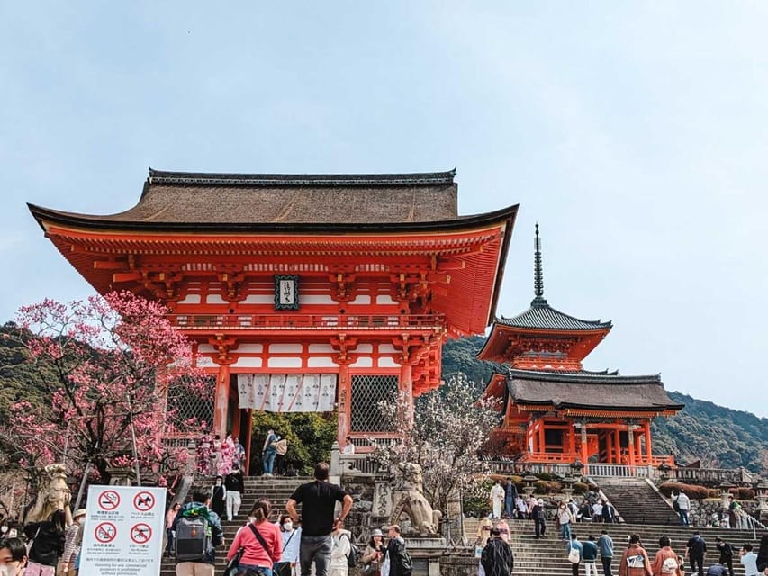 Kyoto/Osaka: Kyoto and Nara Sites & History Day Trip - Kyoto and Nara in One Day, Without the Train Tangle