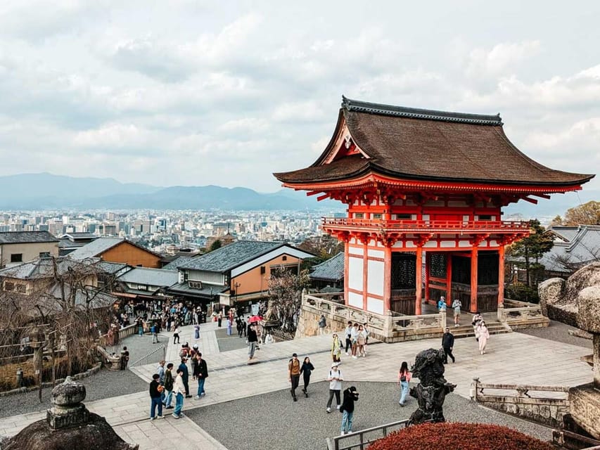 Kyoto/Osaka: Kyoto and Nara Sites & History Day Trip - Who This Private Tour Is Really For (and Who Should Skip It)