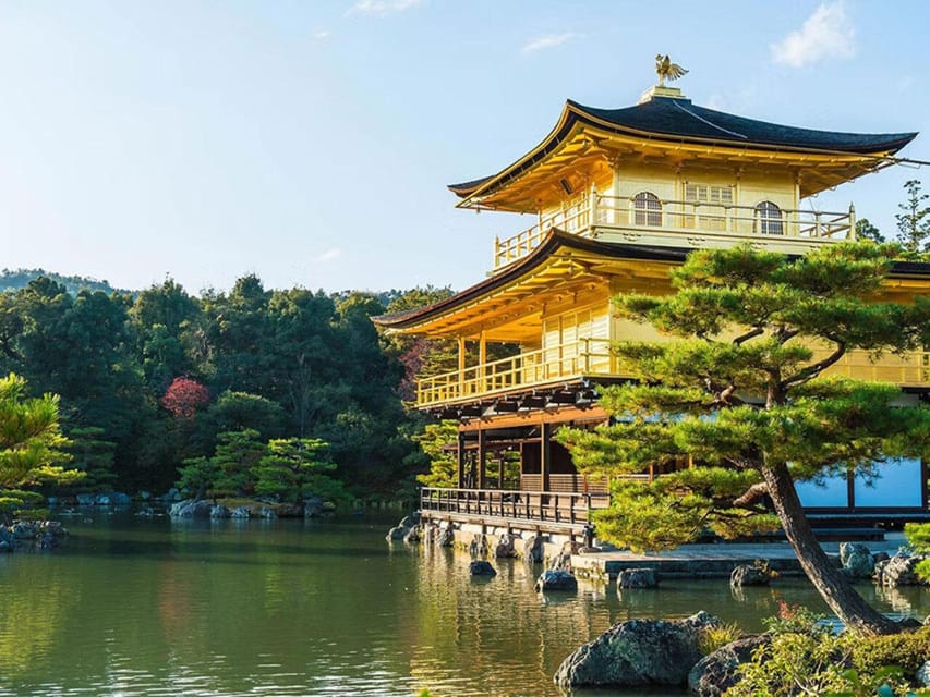 Kyoto/Osaka: Kyoto and Nara Sites & History Day Trip - Price and Value for a Group Up to 6