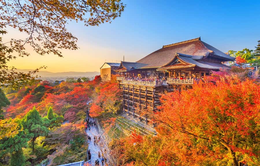 Kyoto/Osaka: Kyoto and Nara World Heritage Day Tour - What You Get From a 10-Hour Kyoto and Nara Highlights Day
