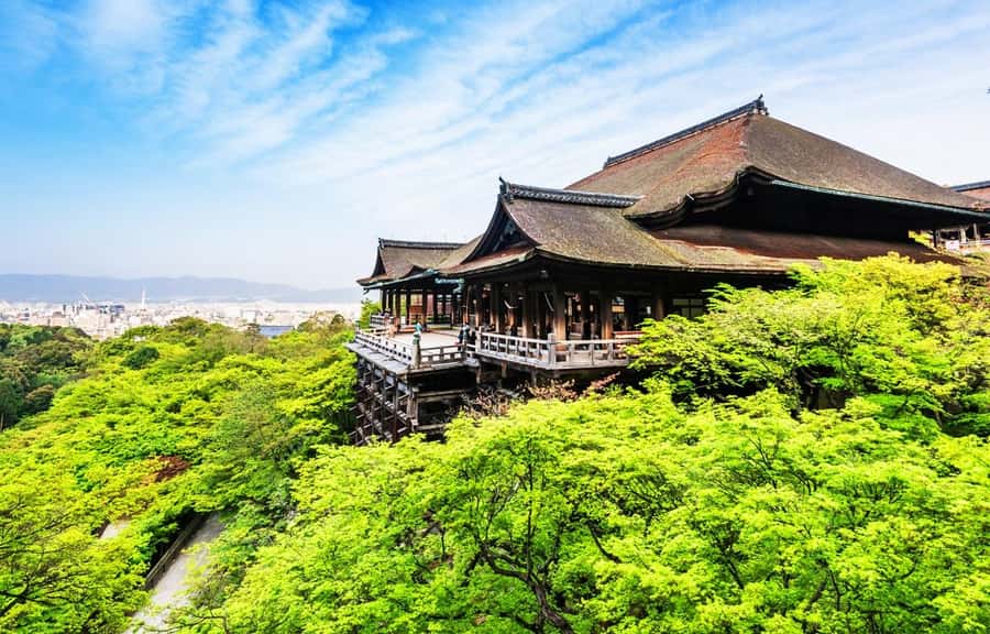 Kyoto/Osaka: Kyoto and Nara World Heritage Day Tour - Yasaka Shrine and Kyoto street-scene realism