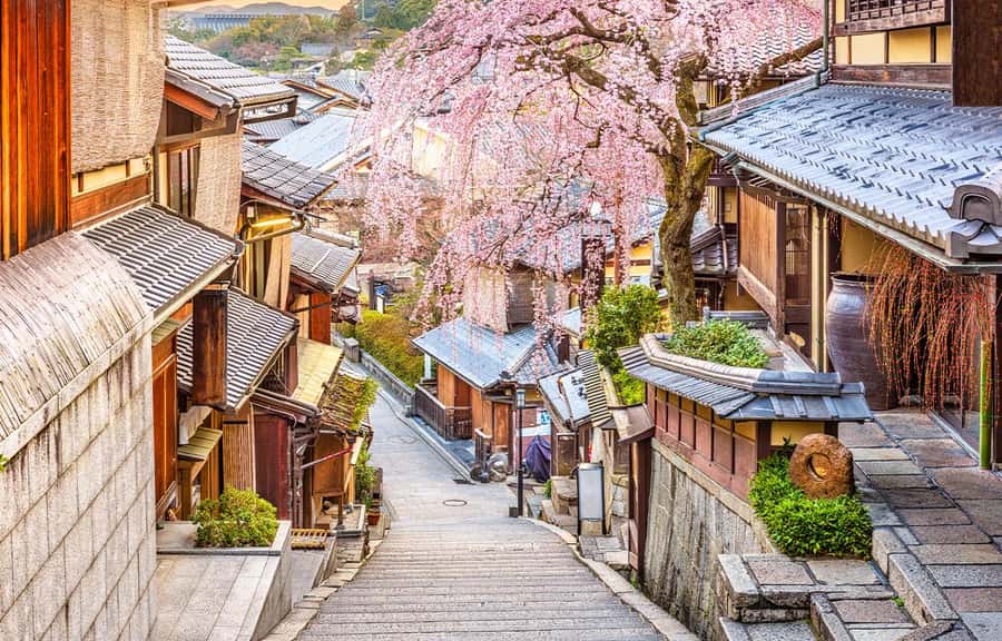 Kyoto/Osaka: Kyoto and Nara World Heritage Day Tour - Nara Park: free-roaming deer, guided time, and Todai-ji scale