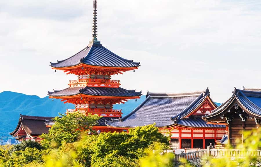 Kyoto/Osaka: Kyoto and Nara World Heritage Day Tour - Kimono rental: when it adds value (and when it might slow you down)