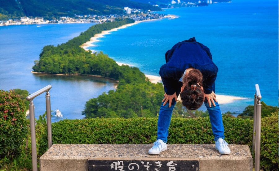 Kyoto/Osaka: Kyoto Coast, Amanohashidate & Ine Bay Day Trip - Who this Kyoto Coast and Ine Bay trip suits best