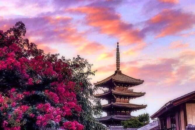 Kyoto, Osaka, Nara Private Tour by Car English Driver Guide - Private Car Day in Kyoto and Osaka: What You Gain
