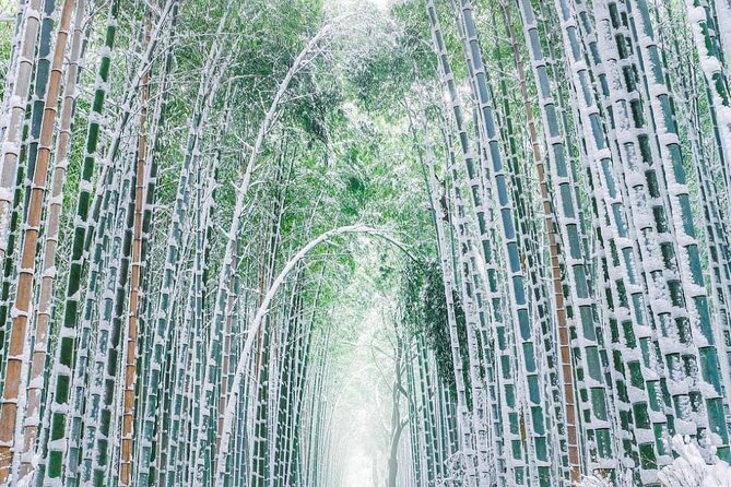Kyoto, Osaka, Nara Private Tour by Car English Driver Guide - Driver-Plus-Guide Reality Check: How to Avoid the Mismatch