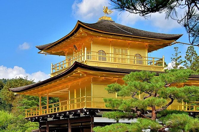 Kyoto, Osaka, Nara Private Tour by Car English Driver Guide - Best Times, Photo Stops, and Using Wi-Fi Like a Pro