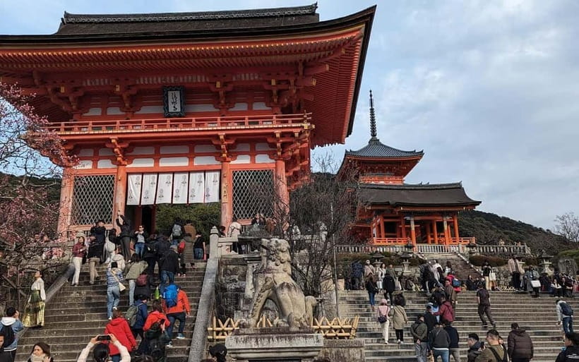 Kyoto: Personalize, private tour (3h, 5h, 8h) [W/Car Option] - Key highlights worth planning around