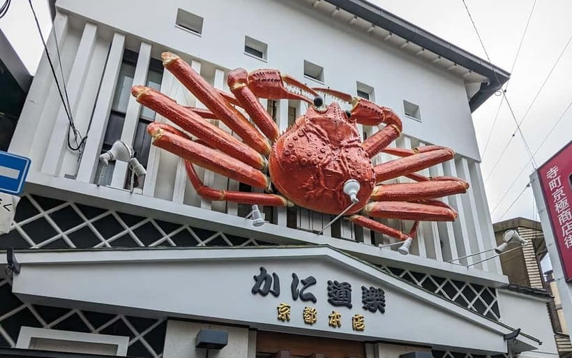 Kyoto: Personalize, private tour (3h, 5h, 8h) [W/Car Option] - What the guide does beyond showing up