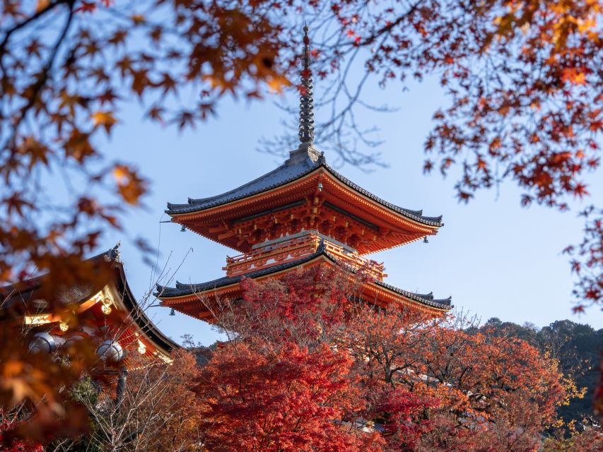 Kyoto: Personalized Guided Private Tour - A private Kyoto plan that actually follows your mood