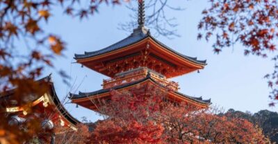 Personalized Guided Private Tour