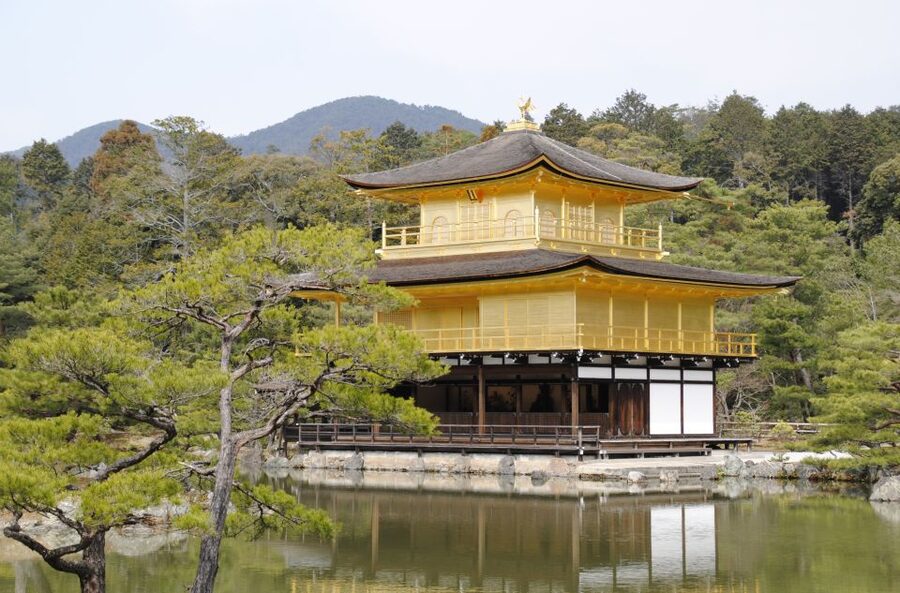 Kyoto: Personalized Guided Private Tour - Choosing washoku or green tea: small food stops that set the tone