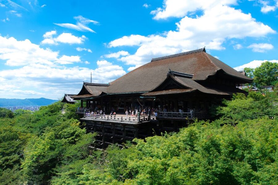 Kyoto: Personalized Guided Private Tour - Transportation, stairs, and rain: how to make the day smooth