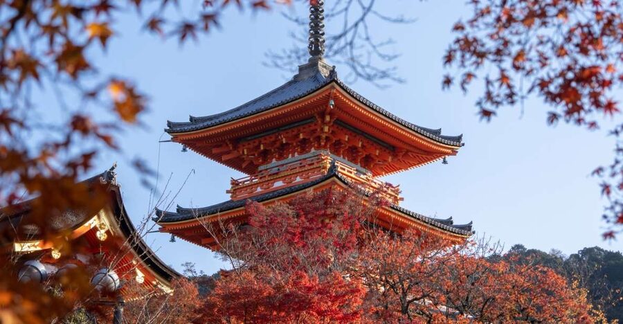 Kyoto: Personalized Guided Private Tour - Fushimi Inari and the torii path: the part that rewards good pacing