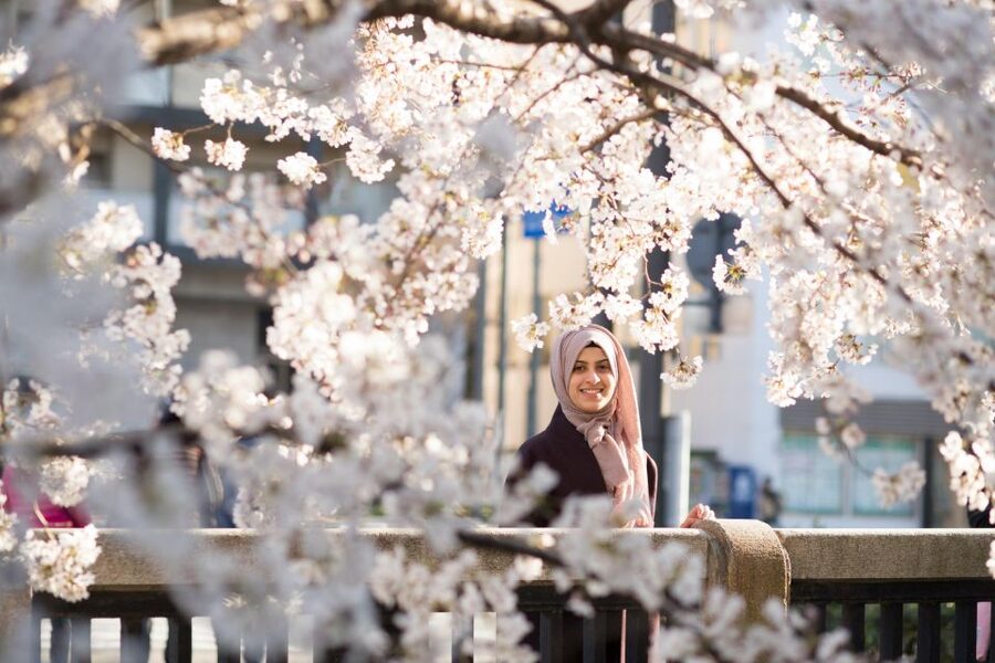 Kyoto: Photo Shoot with a Private Vacation Photographer - Key things that make this Kyoto photo shoot worth it