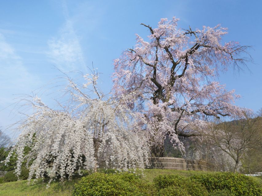 Kyoto: Private 2.5 Hour Historical Walking Tour - The Yasaka Koshindo Stop and the Five-Storied Pagoda View