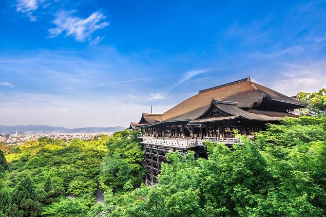 Kyoto Private 6 hour Tour: English Speaking Driver Only, No Guide - Stop 5, Fushimi Inari-taisha: Thousands of Torii and a Simple Pacing Plan