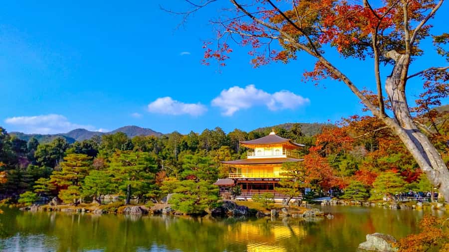 Kyoto: Private Customizable Day Trip by Car - Key Things That Make This Kyoto Car Day Worth It