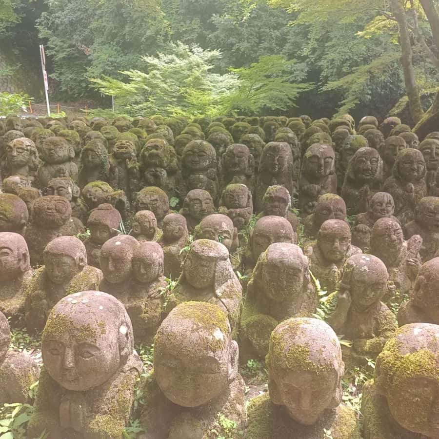Kyoto: Private Customizable Day Trip by Car - Driver Support, Not a Walking Guide: How to Make It Work