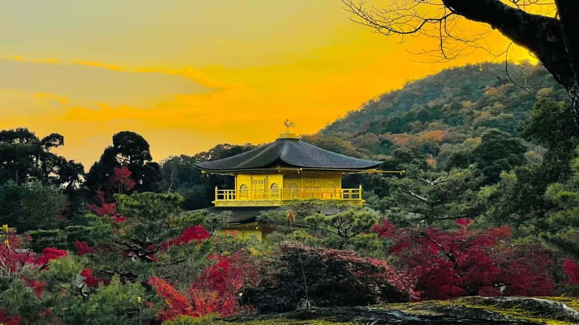 Kyoto: Private Customized Tour With English Speaking Guide - Gion’s preserved lanes, plus Kiyomizu-dera and the street-photo payoff